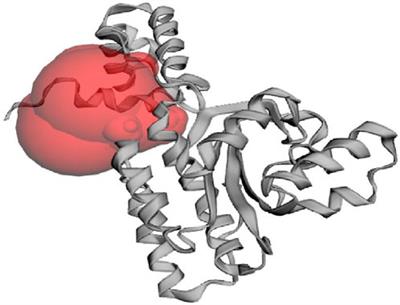 Computational exploration of Picrasma quassioides compounds as CviR-mediated quorum sensing inhibitors against Chromobacterium violaceum